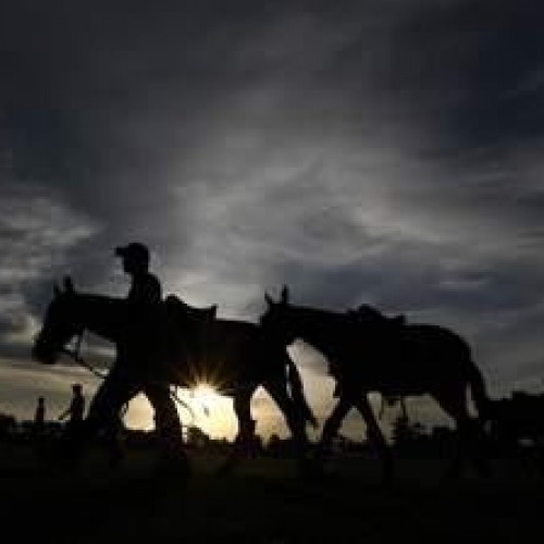 DOÑA SOFIA GENETICA