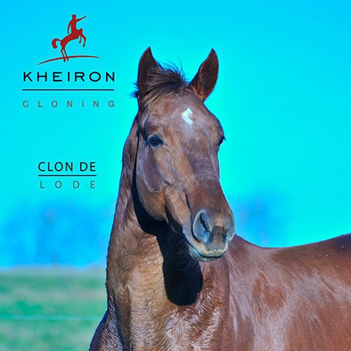 KHEIRON